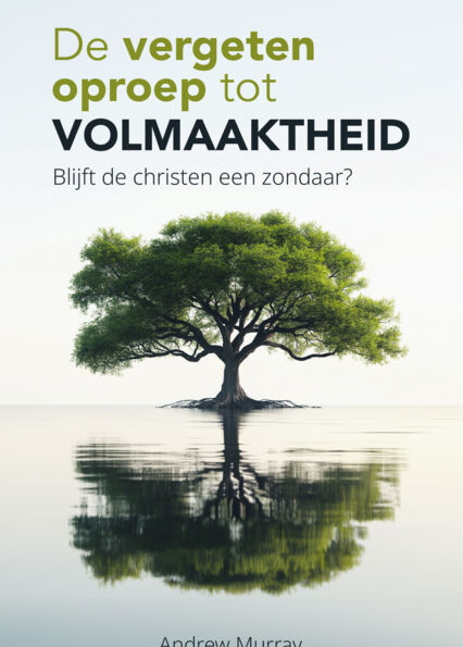 Cover  Geestelijke groei - OMSLAG boekje Volmaaktheid.jpg